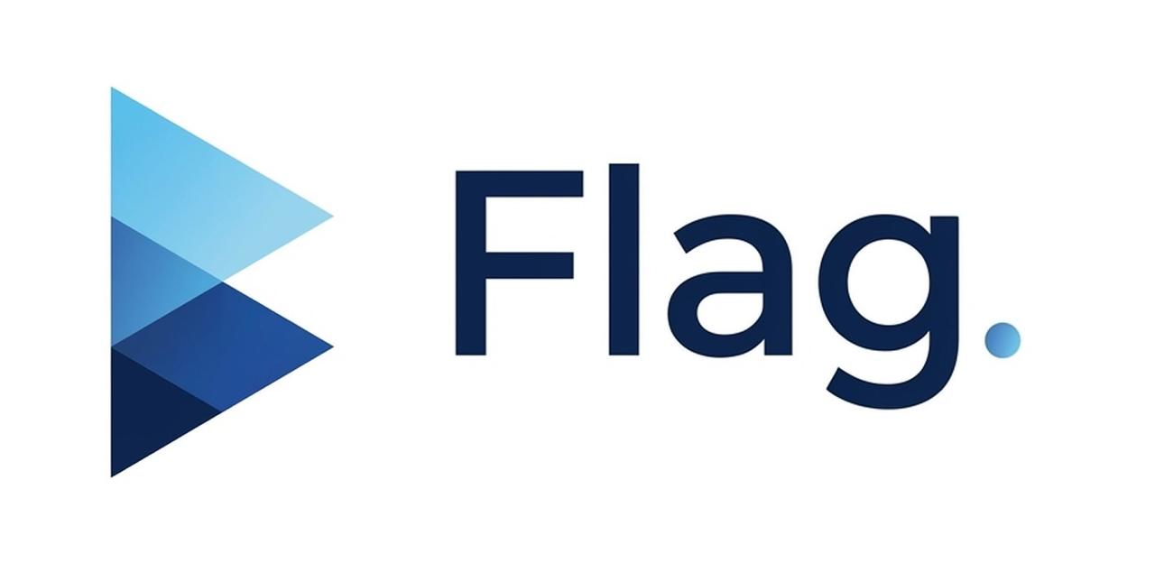 Flag Logo